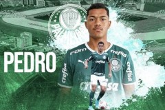 曝尤文將簽下佩德羅費利佩 先租後買