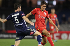 澳超阿德萊德聯vs悉尼FC隊預測分析 悉尼FC本賽季進攻疲軟後防漏洞百出