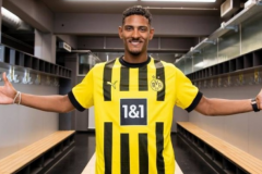 阿萊轉會至多特蒙德 轉會費多達3450萬歐元