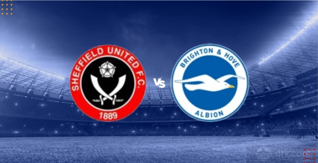 謝菲爾德聯vs布萊頓