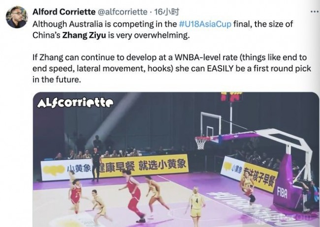 美國球探評價張子宇