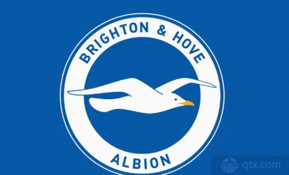 英超布賴頓VS曼徹斯特城預測