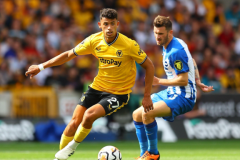 曝曼城願放棄引進努內斯 狼隊要價過高